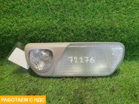 Плафон салонный